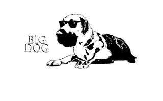 BIG DOG