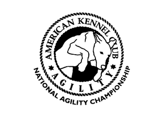 AMERICAN KENNEL CLUB AGILITY NATIONAL AGILITY CHAMPIONSHIP