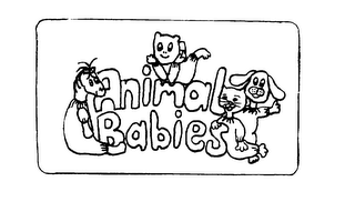 ANIMAL BABIES