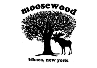 MOOSEWOOD ITHACA, NEW YORK