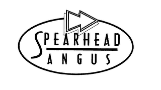 SPEARHEAD ANGUS