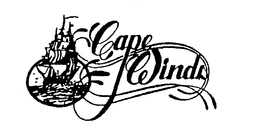CAPE WINDS