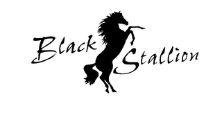 BLACK STALLION