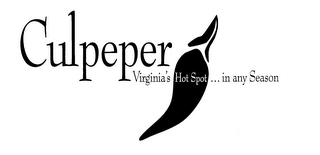CULPEPER - VIRGINIA'S HOTTEST BUSINESS LOCATION