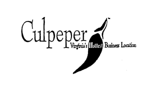CULPEPER - VIRGINIA'S HOTTEST BUSINESS LOCATION