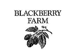 BLACKBERRY FARM, LLC logo