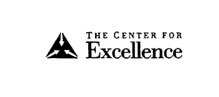 THE CENTER FOR EXCELLENCE