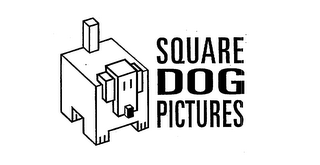 SQUARE DOG PICTURES