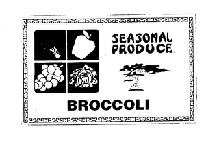 SEASONAL PRODUCE BROCCOLI