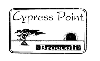 CYPRESS POINT BROCCOLI