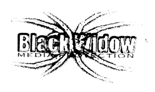 BLACK WIDOW MEDIA PROTECTION