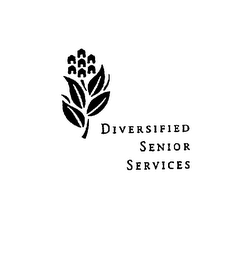 DIVERSIFIED SENIOR SERVICES