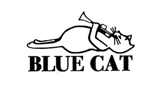 BLUE CAT