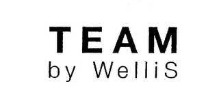 TEAM BY WELLIS