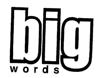 BIG WORDS