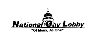 NATIONAL GAY LOBBY "OF MANY, AS ONE"