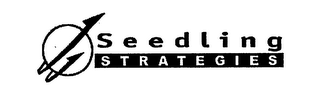 SEEDLING STRATEGIES