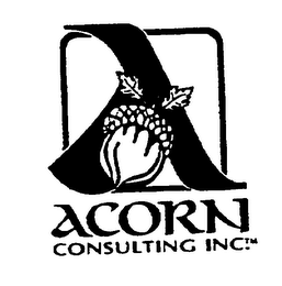 ACORN CONSULTING INC.