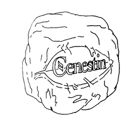 CENESTIN