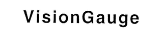 VISIONGAUGE