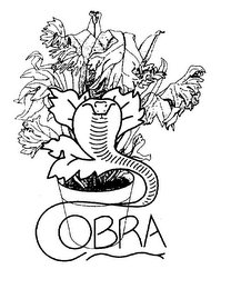 COBRA