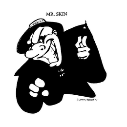 MR. SKIN