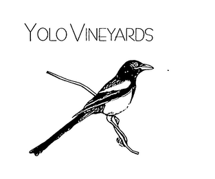 YOLO VINEYARDS