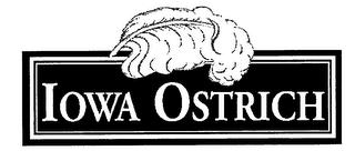 IOWA OSTRICH