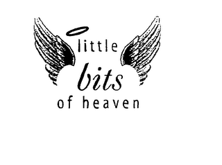 LITTLE BITS OF HEAVEN