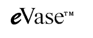 E VASE