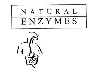 NATURAL ENZYMES