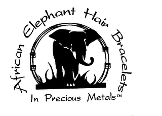 AFRICAN ELEPHANT HAIR BRACELETS IN PRECIOUS METALS