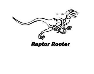 RAPTOR ROOTER