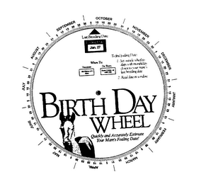 STYLIZED TYPOGRAPHY OF THE BIRTH DAY WHEEL, PLUS DESIGN IMAGE OF A BABY HORSE (FOAL)
