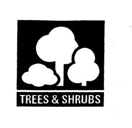 TREES & SHRUBS