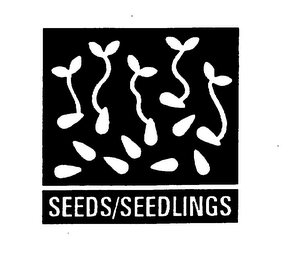 SEEDS/SEEDLINGS