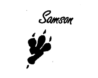 SAMSON