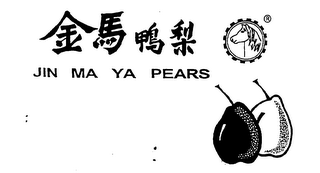 JIN MA YA PEARS