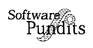 SOFTWARE PUNDITS