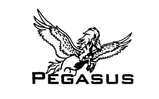 PEGASUS