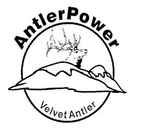 ANTLERPOWER VELVET ANTLER