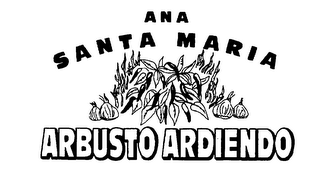 ANA SANTA MARIA ARBUSTO ARDIENDO