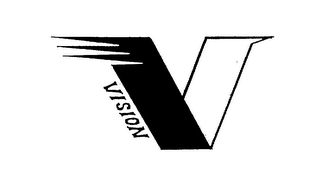 V VISION