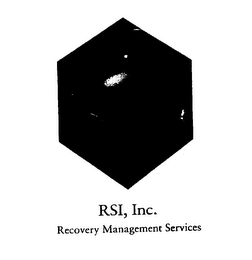 RSI, INC.  RECOVERY MANAGEMENT SERVICES