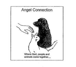 ANGEL CONNECTION WHERE GOD, PEOPLE AND ANIMALS COME TOGETHER...