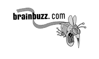 BRAINBUZZ.COM