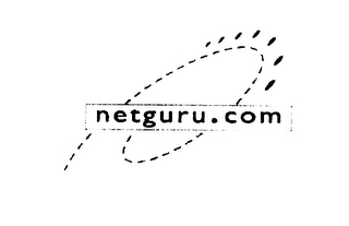 NETGURU.COM