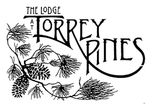 THE LODGE AT TORREY PINES