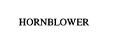 HORNBLOWER GROUP, INC. logo