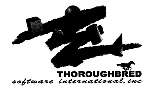 THOROUGHBRED SOFTWARE INTERNATIONAL.INC